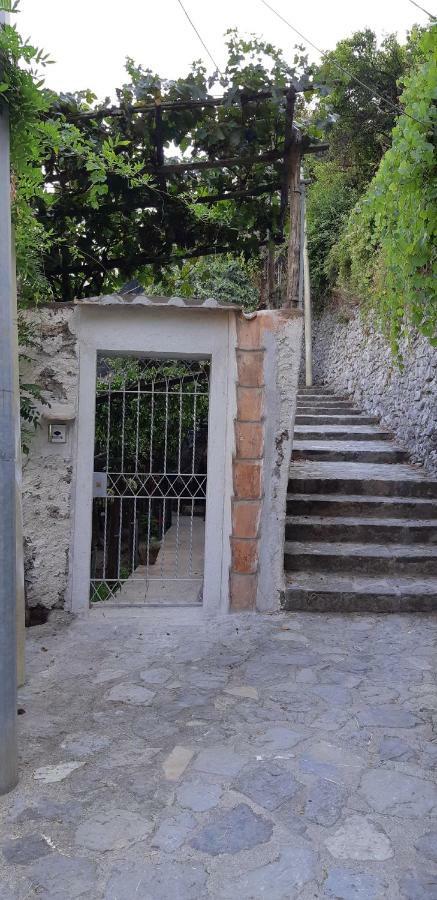 #La Limonaia Della Torretta Minori Exterior foto
