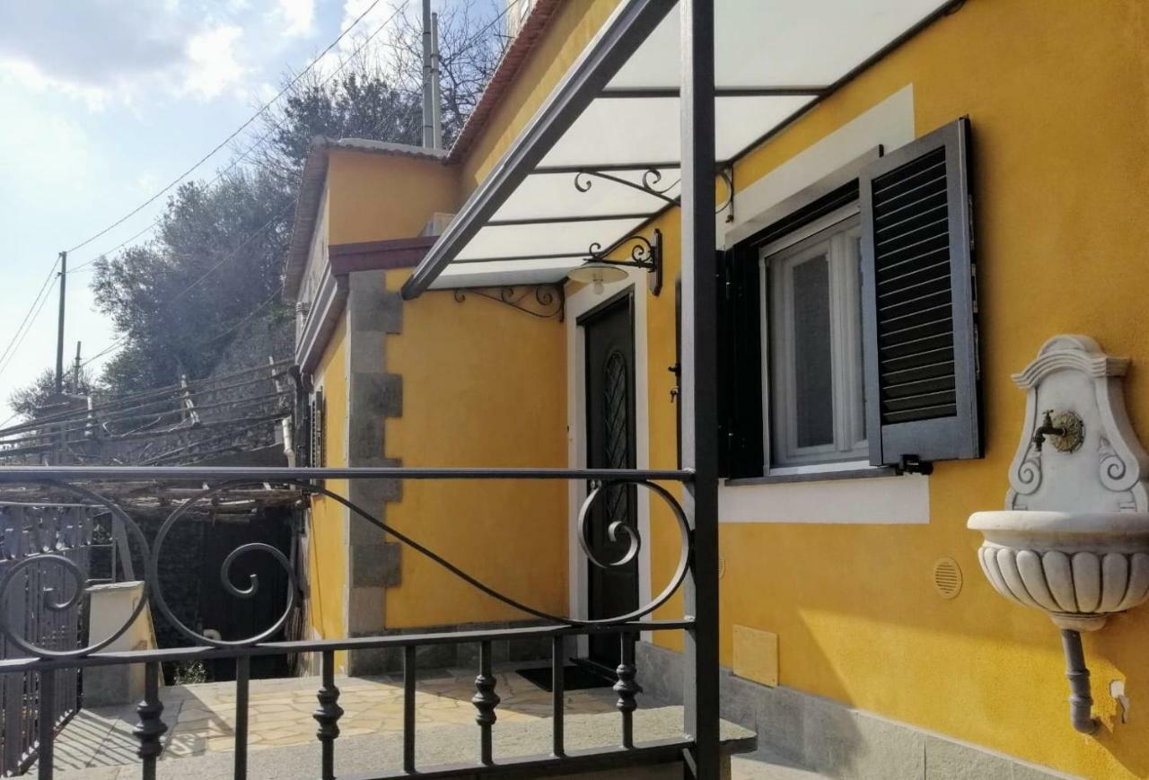 #La Limonaia Della Torretta Minori Exterior foto
